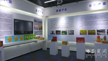 安陆链式招商 一根米粉串起的百亿食品产业链与网络文化经营新路径