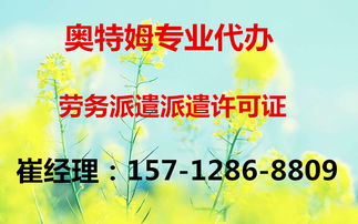 全面解析代理延庆县网络文化经营许可证的办理要点与流程