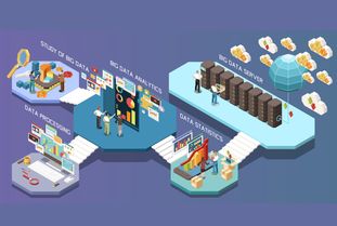 网红种草 网络文化经营时代的新营销高地与消费者洞察赋能