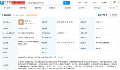 网络文化经营的边界与责任 在数字浪潮中守护精神家园